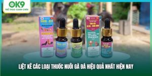 Các Loại Thuốc Nuôi Gà Đá Tốt Nhất HIện Nay - OK9 Chia Sẻ